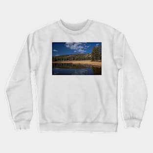 850_7898 Crewneck Sweatshirt